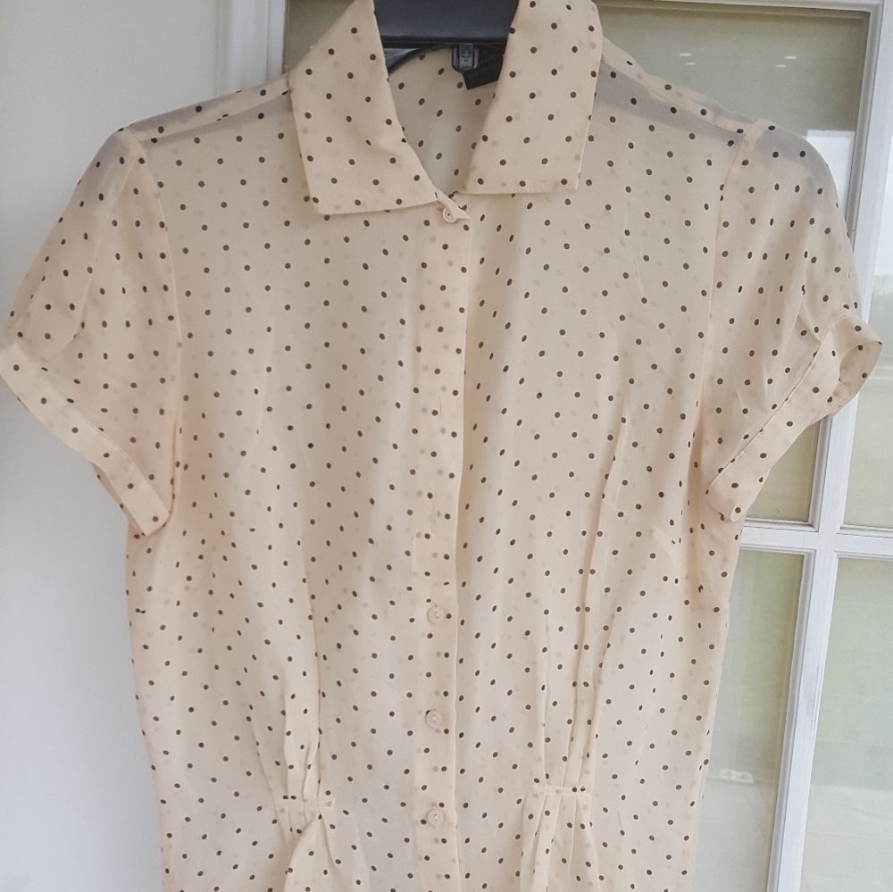 The Limited Sheer blouse
